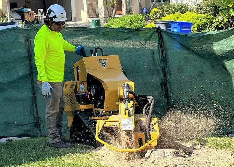 Worker operating a yellow stump grinder beside a green screen
